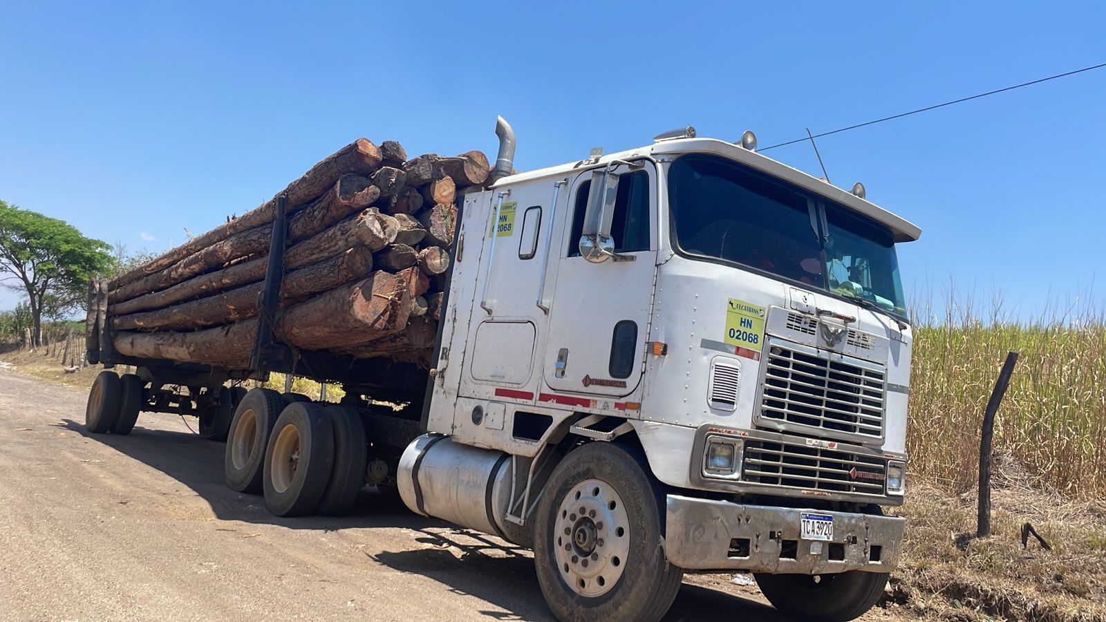 Camión de plataforma cargado con trozas amarradas, detenido en un camino de tierra