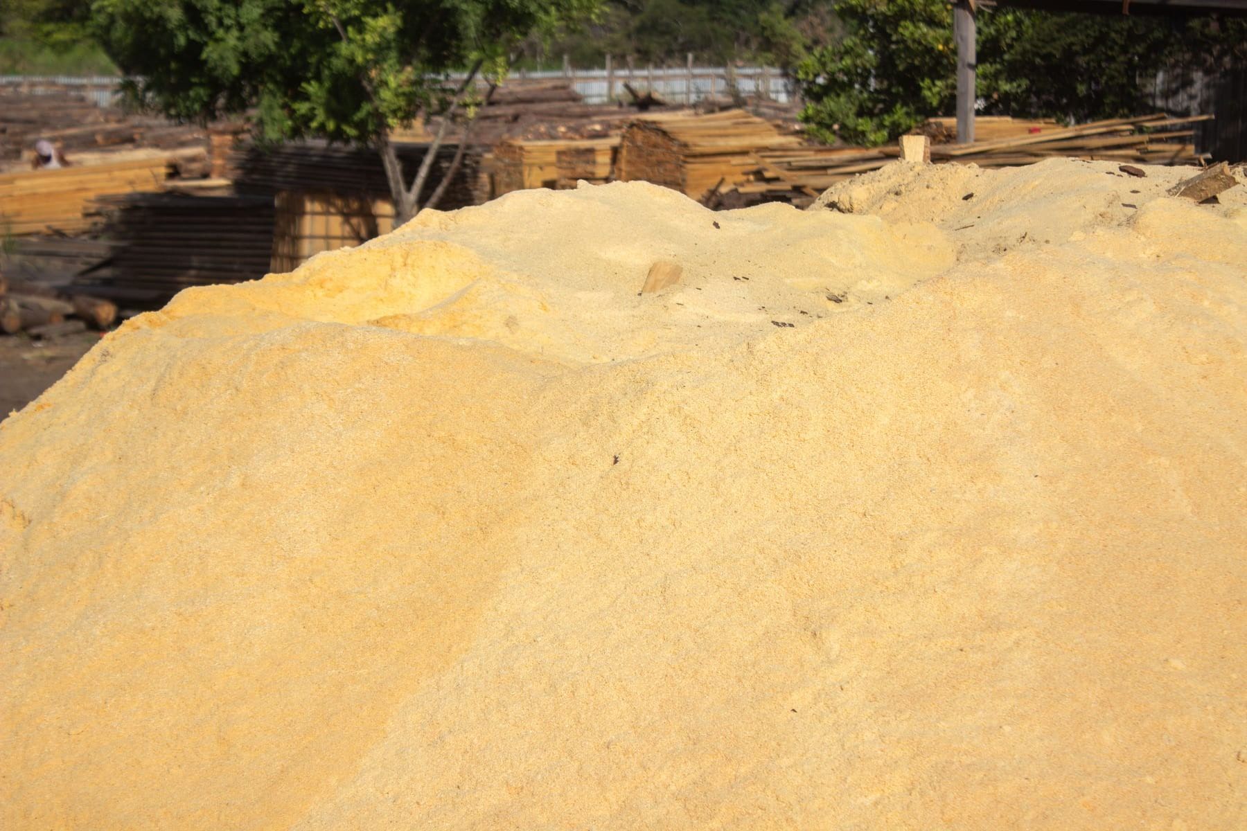 Aserrín, producto de Maderas de Honduras