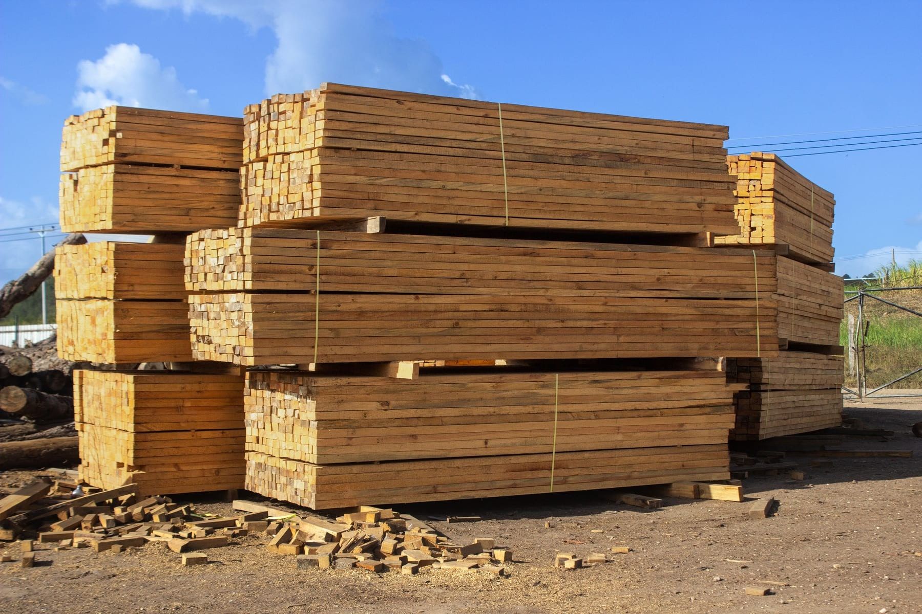 Madera en cuadro, producto de Maderas de Honduras