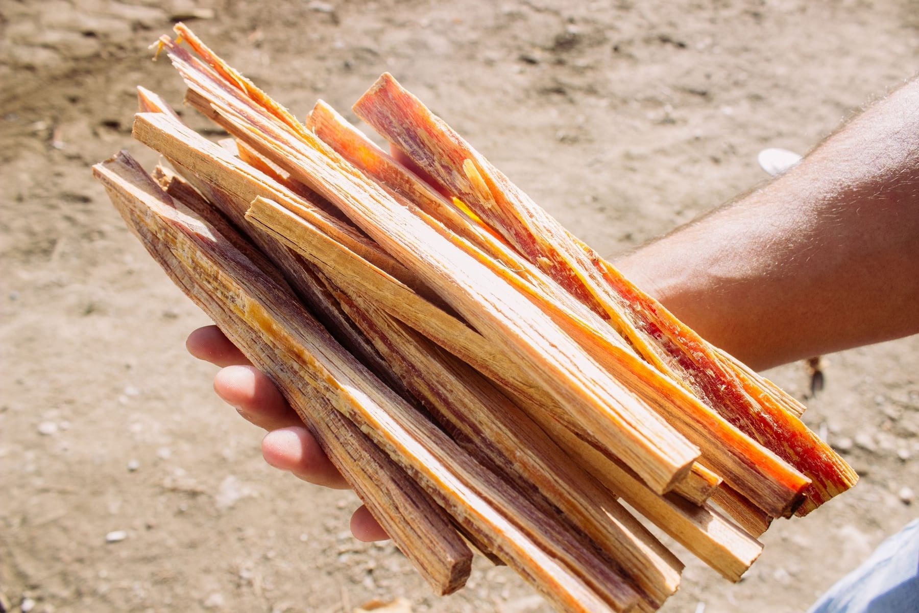 Ocote, producto de Maderas de Honduras